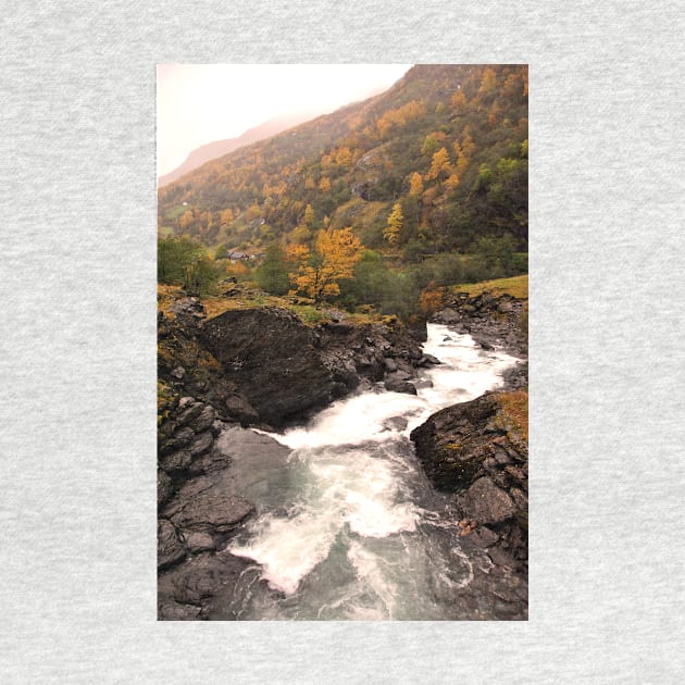 Waterfall Flamsdalen Valley Flam Norway Scandinavia by AndyEvansPhotos